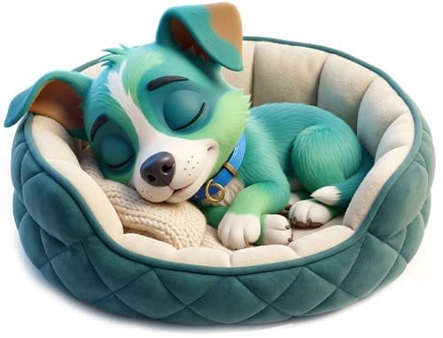Cora asleep in her bed